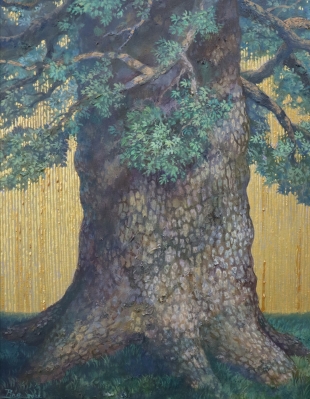 樹的肖像-樟樹
