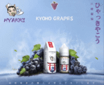 日系進口小煙油HYAKKI哈亞齊30ML - 可樂：圖片 5